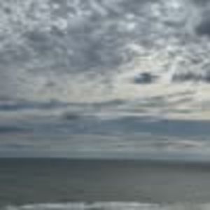 Meet your Posher, Liza